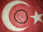 Kaplan Gözü Kayı 2